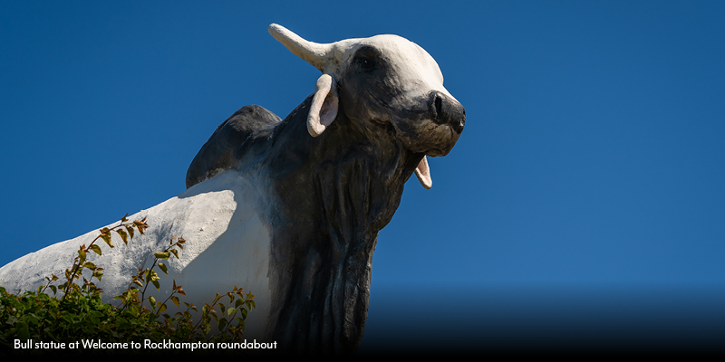 Brahman Bull Statue, Rockhampton