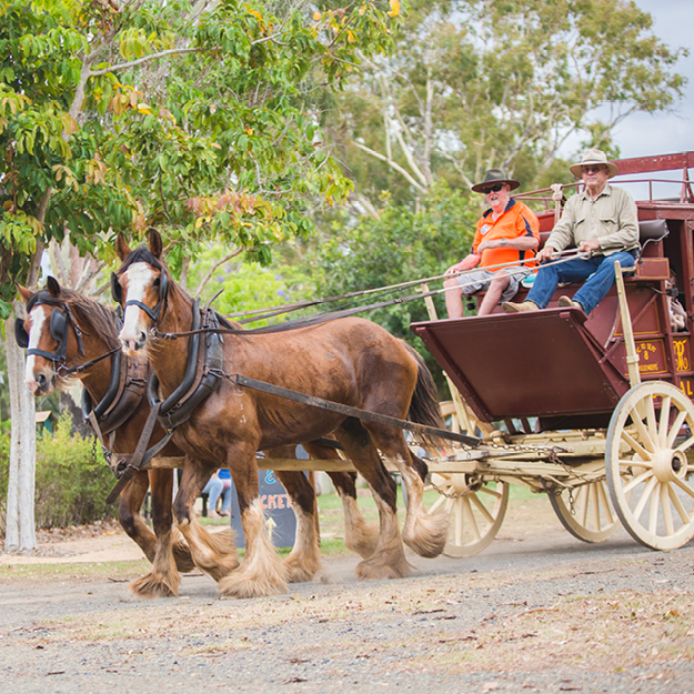 Heritage Village horse and carriage