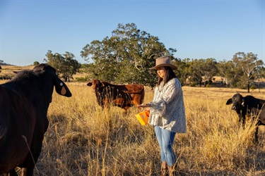 Alkoomi Adventure Farm Stay