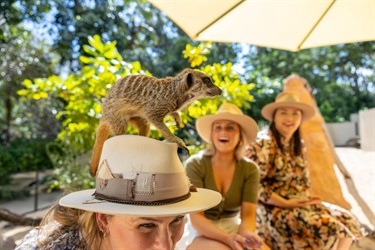 Rockhampton Zoo