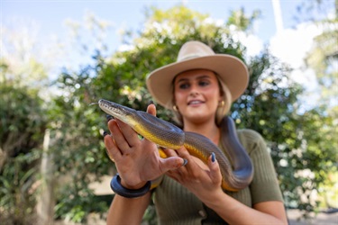 Rockhampton Zoo