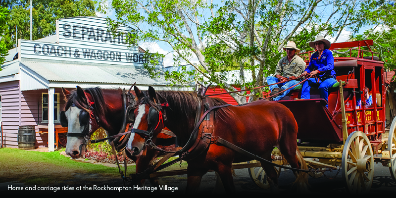 horse and carriage ride