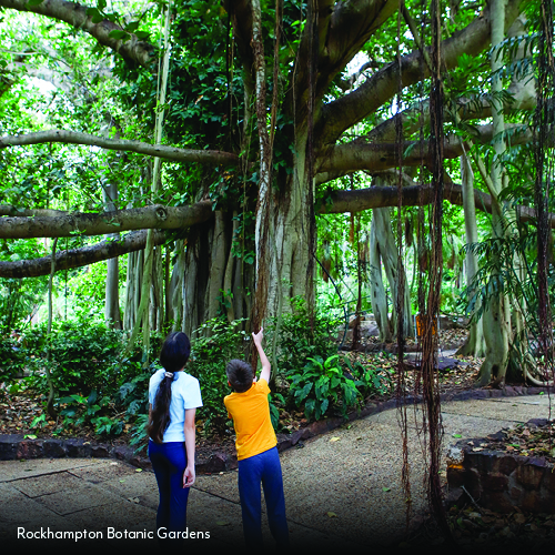 rockhampton botanic gardens