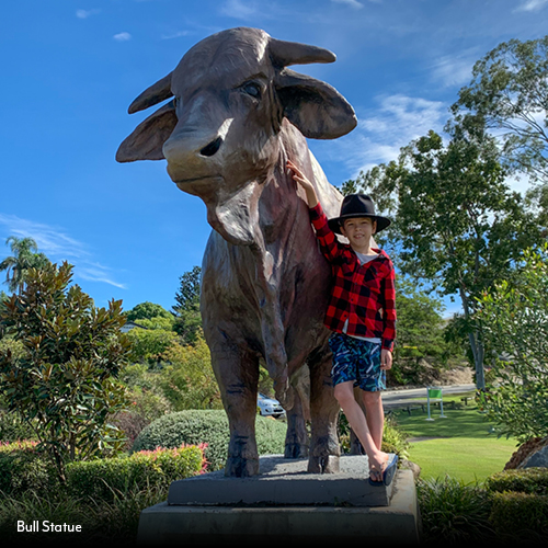 9 Fun Activities for a family holiday in Rockhampton_Bull Statue.jpg