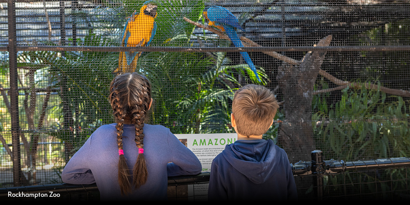 9 Fun Activities for a family holiday in Rockhampton_Rockhampton Zoo.jpg