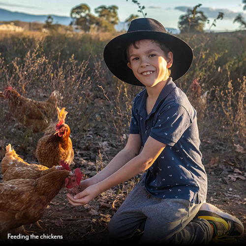 A Slice of Country Life at Alkoomi Adventure Farm_Chickens.jpg