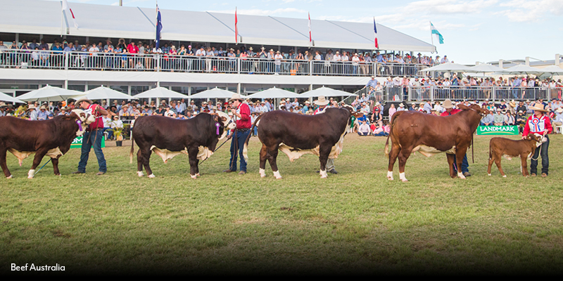 Beef Australia 2018, Rockhampton