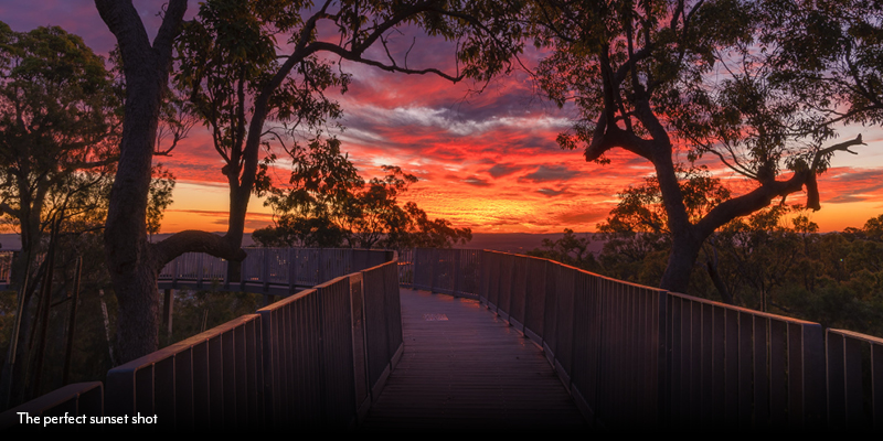 Photographers guide to Mount Archer_Sunset shot.jpg