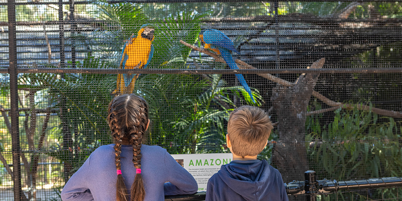 Rockhampton Zoo birds Our Coast Life