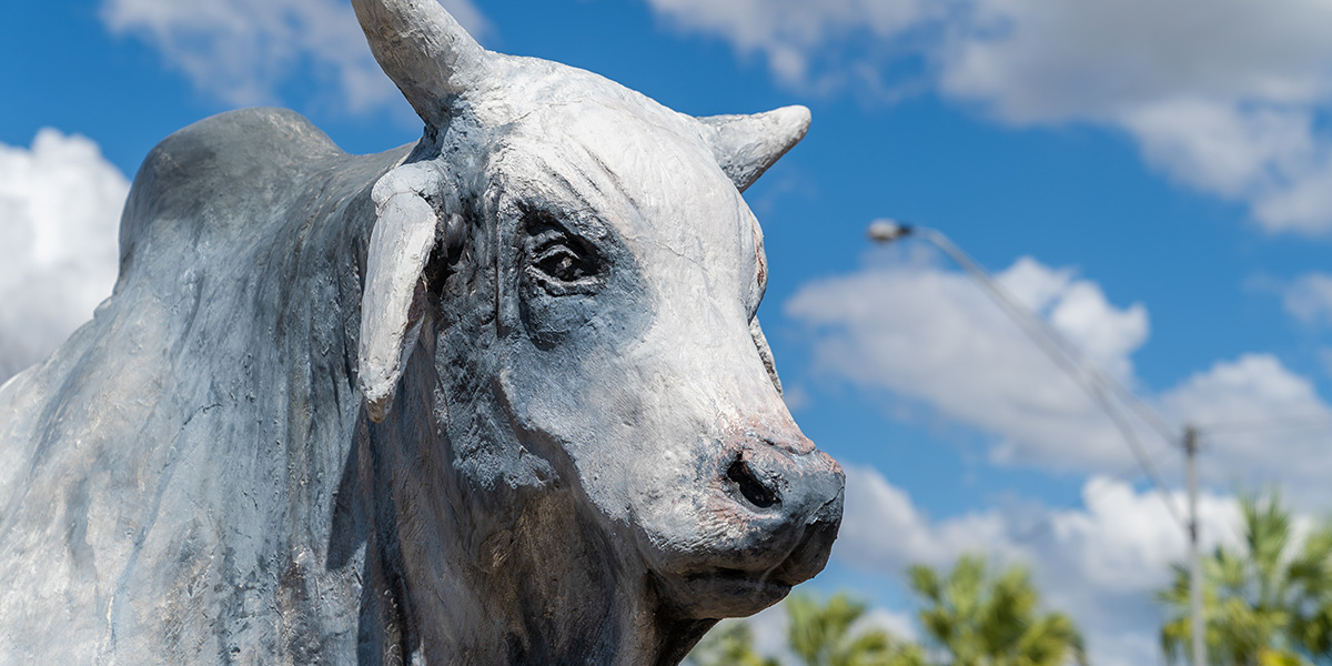 a statue of a brahman bull