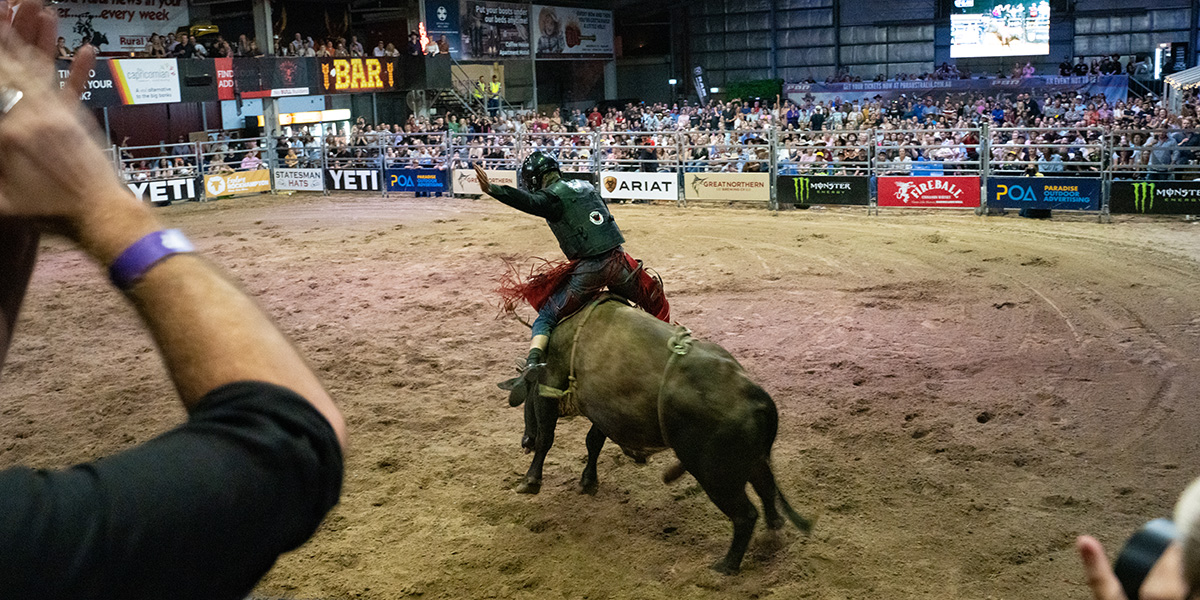 watching professional bull riding at the Great Western Hotel