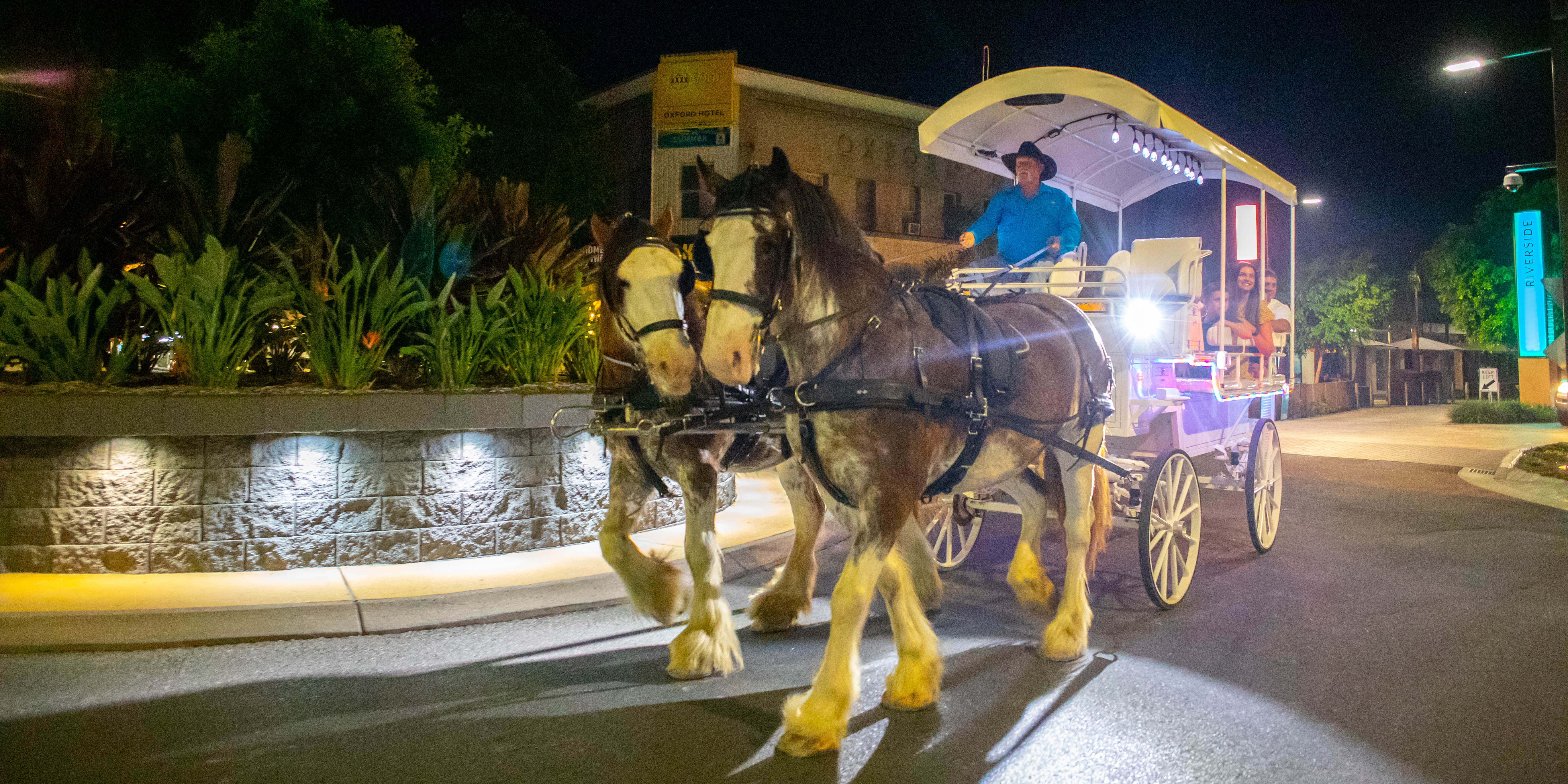 Horse drawn carriage