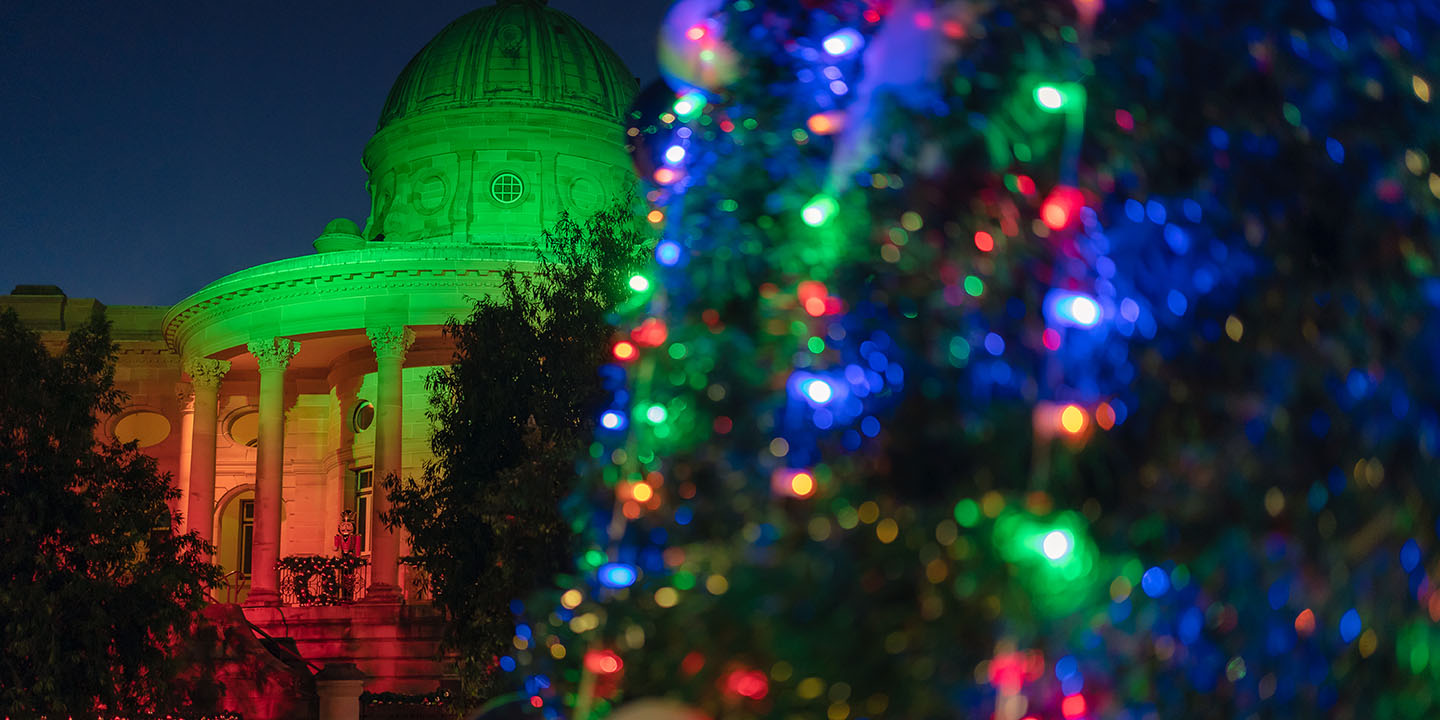 Beautiful Christmas lights shinning from a giant Christmas tree with Rockhampton's Customs House in the background lit up in green and red Christmas colours.