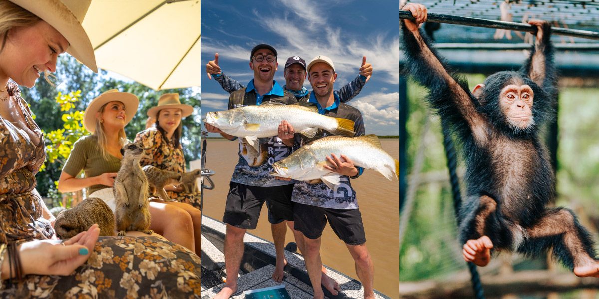 A montage of images depicting meerkat encounters at the Rockhampton Zoo, three fishermen holding giant trophy sized barramundi and a young chimpanzee