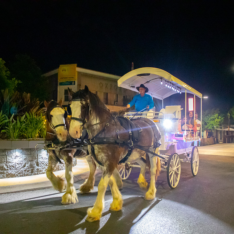 horse and cart ride