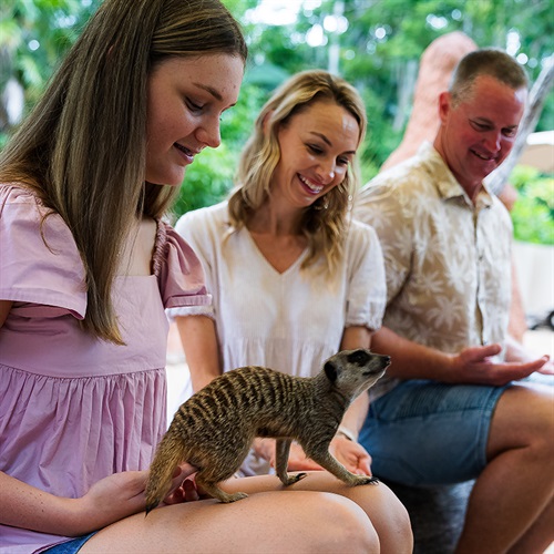 families zoo.jpg