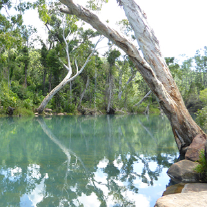 Stoney Creek, Byfield National Park