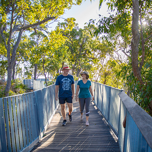 Mount Archer treetop boardwalk 4