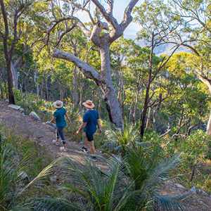 Zamia Walk Mount Archer