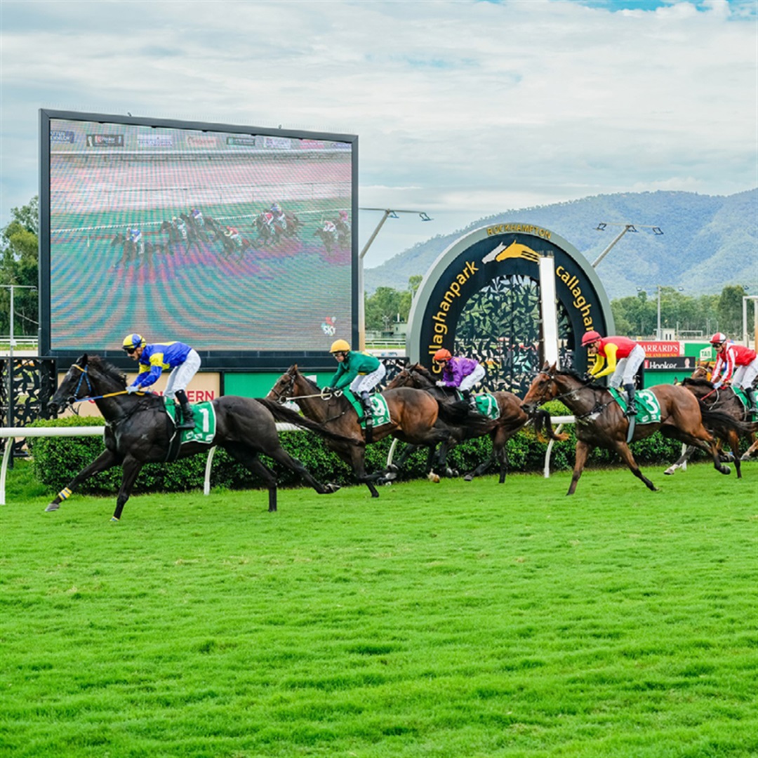 Capricornia Yearling Sales Races Explore Rockhampton