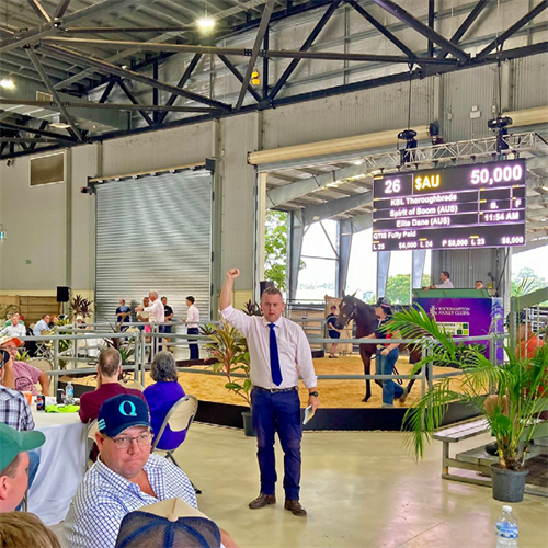 Capricornia Yearling Sale at the Showgrounds 2024.png