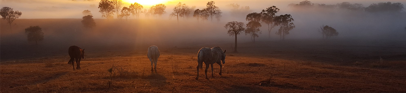 a dusty landscape farm