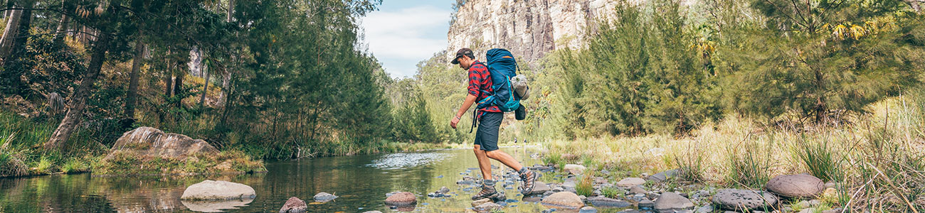 a person hiking through the bush