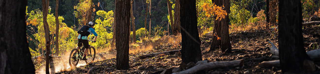 Mountain biking trails