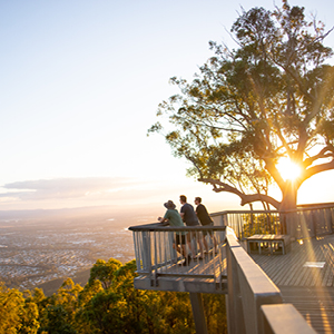 Mount Archer treetop boardwalk 2