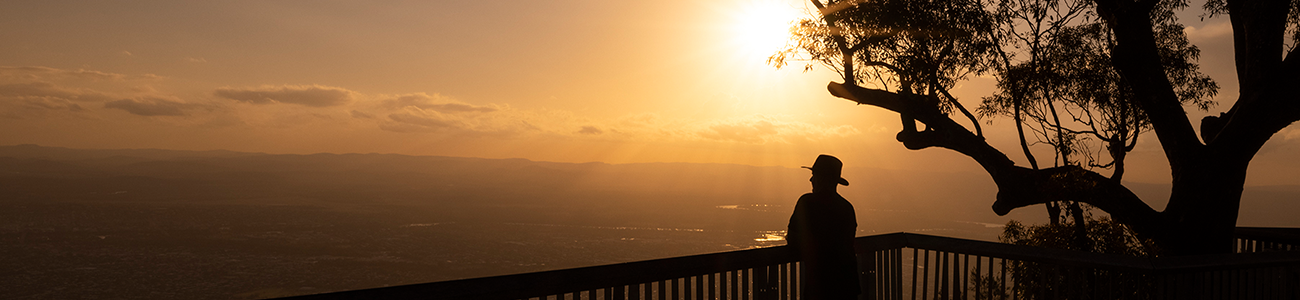 A man overlooking a sunset from treetop boardwalk